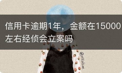 信用卡逾期1年，金额在15000左右经侦会立案吗