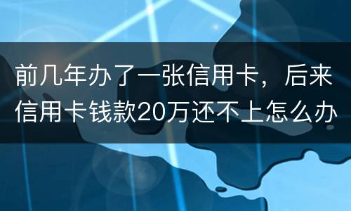 前几年办了一张信用卡，后来信用卡钱款20万还不上怎么办。