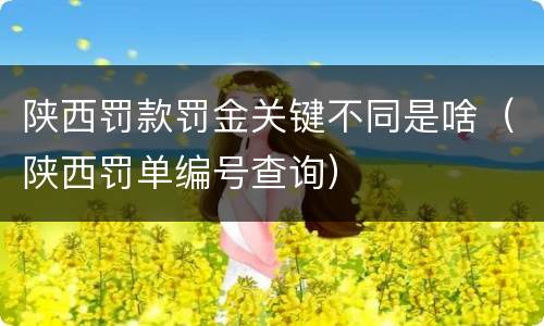 陕西罚款罚金关键不同是啥（陕西罚单编号查询）