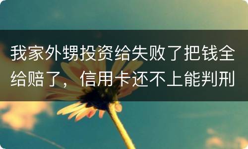 我家外甥投资给失败了把钱全给赔了，信用卡还不上能判刑吗