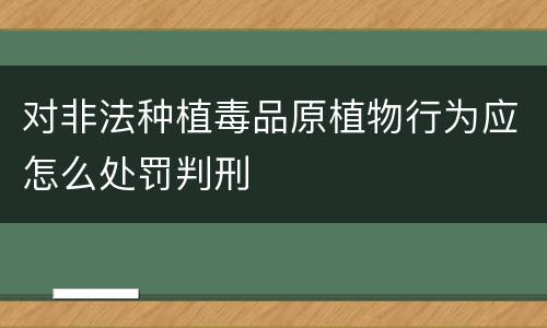 对非法种植毒品原植物行为应怎么处罚判刑