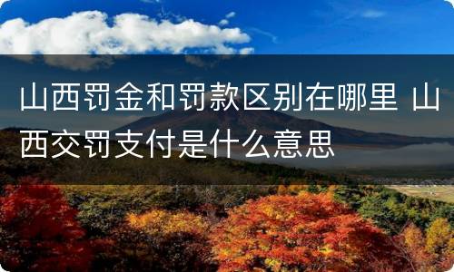 山西罚金和罚款区别在哪里 山西交罚支付是什么意思