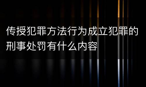 传授犯罪方法行为成立犯罪的刑事处罚有什么内容