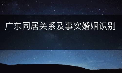 广东同居关系及事实婚姻识别
