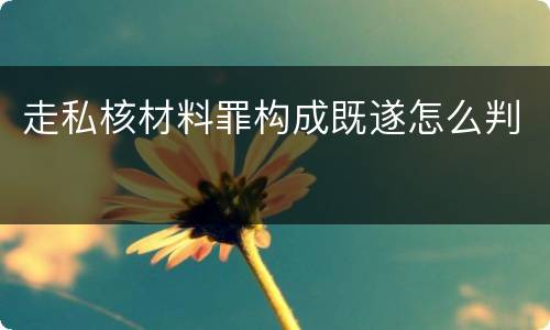 走私核材料罪构成既遂怎么判