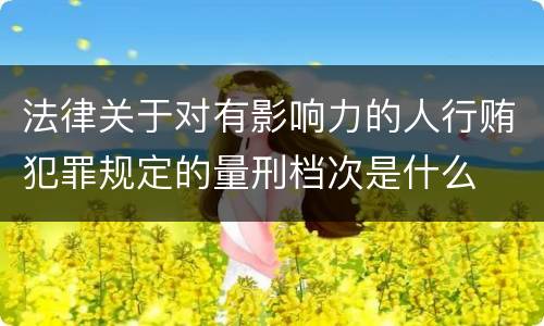法律关于对有影响力的人行贿犯罪规定的量刑档次是什么