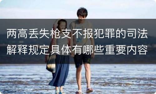 两高丢失枪支不报犯罪的司法解释规定具体有哪些重要内容
