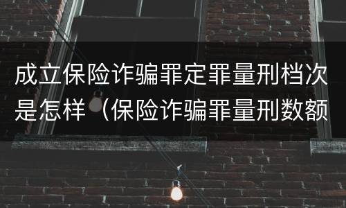 成立保险诈骗罪定罪量刑档次是怎样（保险诈骗罪量刑数额较大的标准）