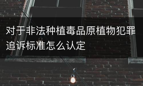 对于非法种植毒品原植物犯罪追诉标准怎么认定