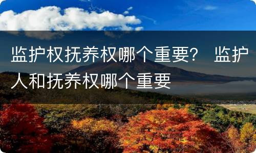 监护权抚养权哪个重要？ 监护人和抚养权哪个重要