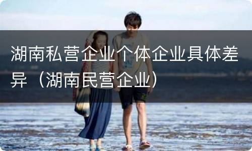 湖南私营企业个体企业具体差异（湖南民营企业）