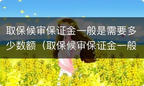 取保候审保证金一般是需要多少数额（取保候审保证金一般是需要多少数额的）
