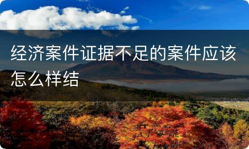 经济案件证据不足的案件应该怎么样结