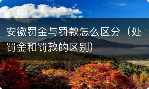 安徽罚金与罚款怎么区分（处罚金和罚款的区别）