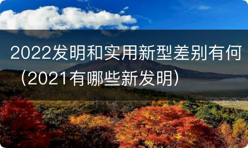 2022发明和实用新型差别有何（2021有哪些新发明）