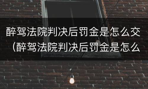 醉驾法院判决后罚金是怎么交（醉驾法院判决后罚金是怎么交费的）