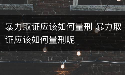 暴力取证应该如何量刑 暴力取证应该如何量刑呢