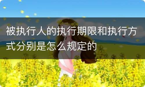 被执行人的执行期限和执行方式分别是怎么规定的