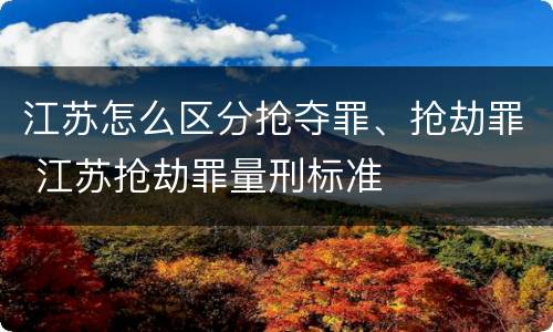 江苏怎么区分抢夺罪、抢劫罪 江苏抢劫罪量刑标准