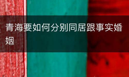 青海要如何分别同居跟事实婚姻