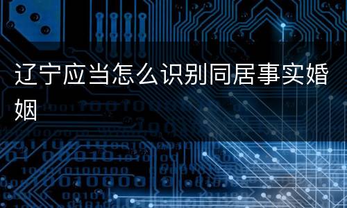 辽宁应当怎么识别同居事实婚姻