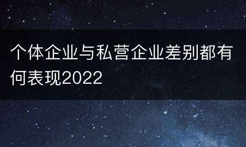 个体企业与私营企业差别都有何表现2022