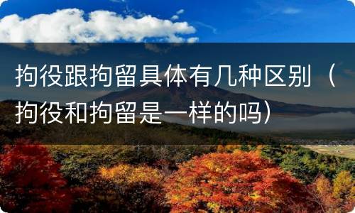 拘役跟拘留具体有几种区别（拘役和拘留是一样的吗）