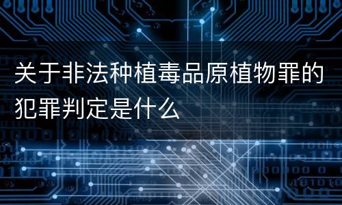 关于非法种植毒品原植物罪的犯罪判定是什么