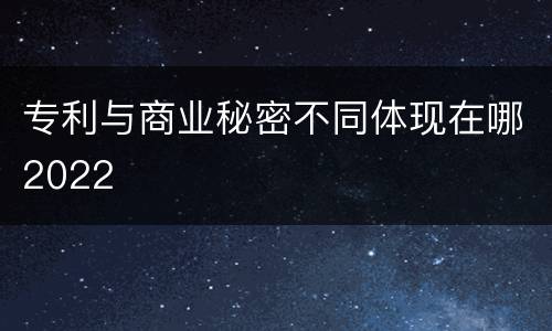 专利与商业秘密不同体现在哪2022
