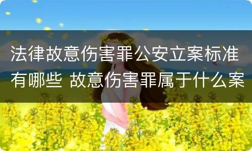 法律故意伤害罪公安立案标准有哪些 故意伤害罪属于什么案件