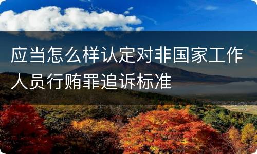 应当怎么样认定对非国家工作人员行贿罪追诉标准