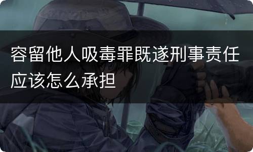 容留他人吸毒罪既遂刑事责任应该怎么承担