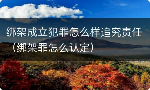 绑架成立犯罪怎么样追究责任（绑架罪怎么认定）