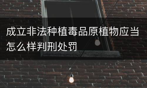 成立非法种植毒品原植物应当怎么样判刑处罚