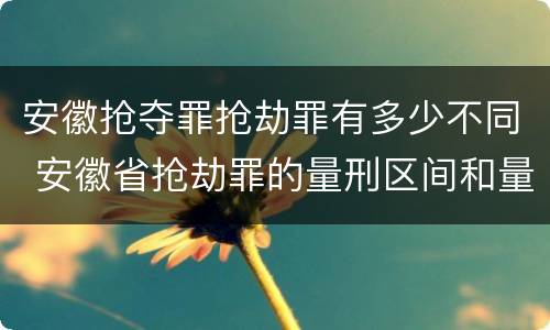 安徽抢夺罪抢劫罪有多少不同 安徽省抢劫罪的量刑区间和量刑情节