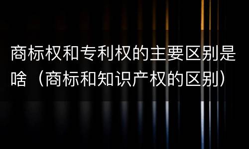 商标权和专利权的主要区别是啥（商标和知识产权的区别）