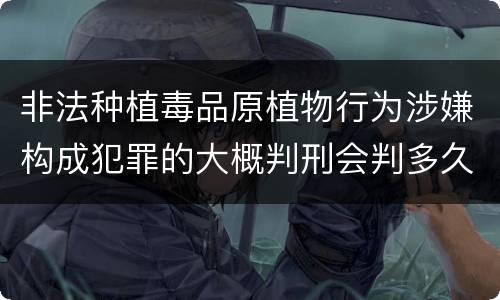 非法种植毒品原植物行为涉嫌构成犯罪的大概判刑会判多久