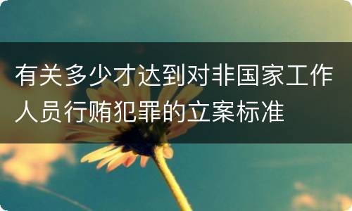 有关多少才达到对非国家工作人员行贿犯罪的立案标准