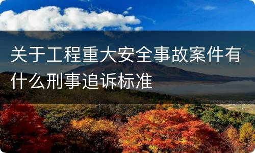 关于工程重大安全事故案件有什么刑事追诉标准