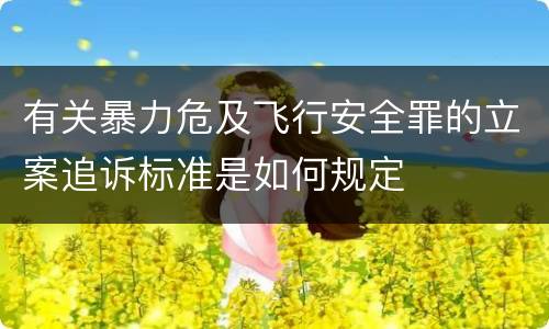 有关暴力危及飞行安全罪的立案追诉标准是如何规定