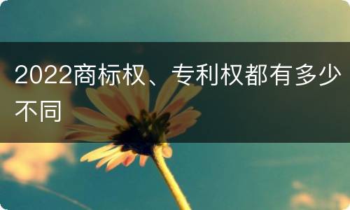 2022商标权、专利权都有多少不同