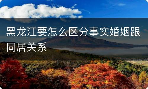 黑龙江要怎么区分事实婚姻跟同居关系