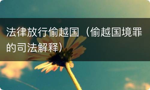 法律放行偷越国（偷越国境罪的司法解释）