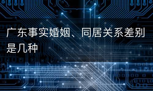 广东事实婚姻、同居关系差别是几种