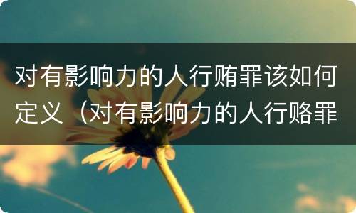 对有影响力的人行贿罪该如何定义（对有影响力的人行赂罪的犯罪构成）