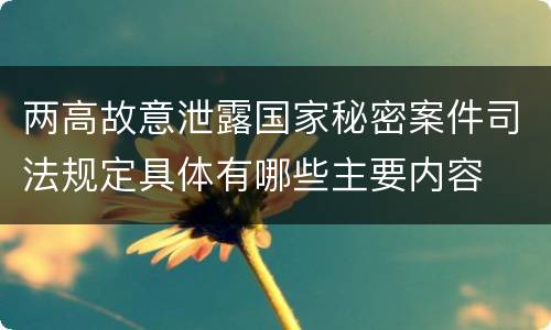 两高故意泄露国家秘密案件司法规定具体有哪些主要内容