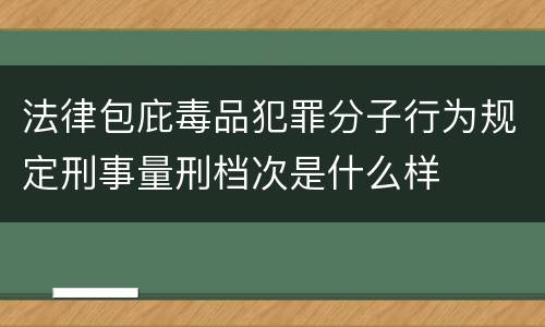 法律包庇毒品犯罪分子行为规定刑事量刑档次是什么样