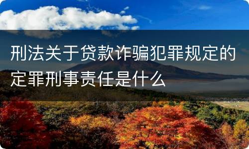刑法关于贷款诈骗犯罪规定的定罪刑事责任是什么