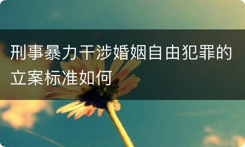 刑事暴力干涉婚姻自由犯罪的立案标准如何