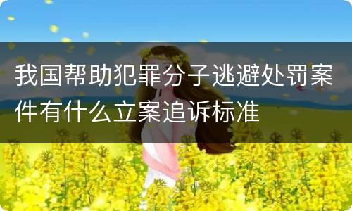 我国帮助犯罪分子逃避处罚案件有什么立案追诉标准
